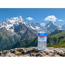  ВОДА ДЖАНГУРИ 0.5Л. 